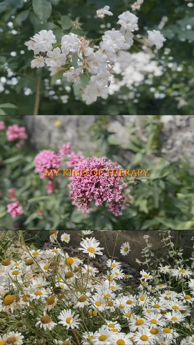 Petit aperçu de notre escapade à Caen ce weekend. 🌼
Je vous prépare une vidéo qui sent bon l’été ! ☀️

Et vous, quel était votre programme ?
.
.
.
#getaway #fyp #slowlifestyle